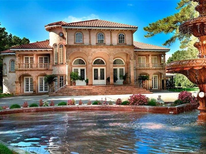 Luxury Mansions